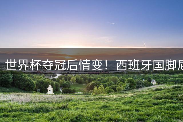 世界杯夺冠后情变！西班牙国脚尼科与模特女友两年恋情告终